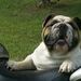 Profile Picture of Don Enlow (@donenlow) on Pinterest