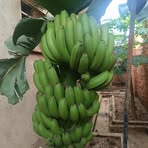 Profile Picture of Geofrey Willard (@geofrey.willard) on Facebook