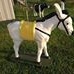 Profile Picture of Floyd Jack (@floyd.jack.908) on Facebook