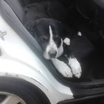 Profile Picture of Kenneth Gould (@gouldkenneth511) on Instagram