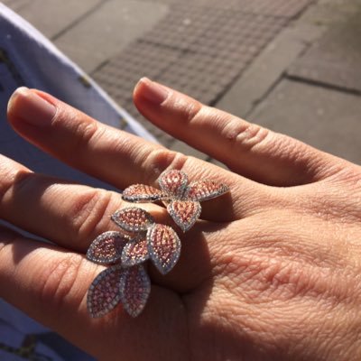 Profile Picture of Anna Repetto (@repap2018) on Twitter