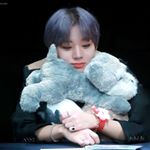 Profile Picture of 박지훈 덕질일상/🅼🅰🆈 (@wing_hoon_99529) on Instagram