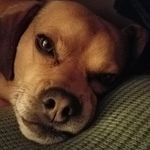 Profile Picture of John Shannon (@john.shannon.39) on Instagram