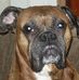 Profile Picture of Nancy DeVries (@nancy.devries.5205) on Facebook
