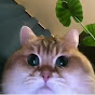 Profile Picture of Michael Fuentes (@@michaelfuentes48) on Tiktok