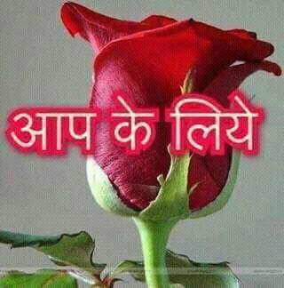 Profile Picture of Aamit Datia Col Boays (@aamitdatia.colboays) on Facebook