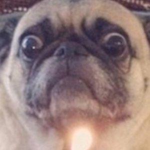 Profile Picture of Danny Mason (@danny.mason.796) on Myspace
