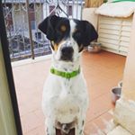 Profile Picture of Mario Mancini (@mario.mancini.1800) on Instagram