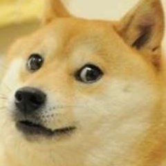 Profile Picture of Lukas Bottesch (@Next4201) on Twitter
