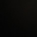 Profile Picture of KELSON SMITH 🐯🐯🦍 (@kelsonsmith2020) on Instagram