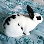 Profile Picture of Jordan Posey (@posey_jordan) on Instagram