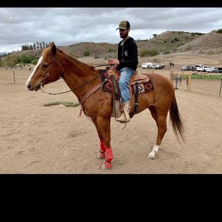 Jesse james Bodenhamer - Instagram Profile Picture of Jesse james Bodenhamer (@jessejamesbodenhamer) on Instagram