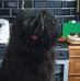 Profile Picture of Thomas Scott (@thomas.scott.9404362) on Facebook