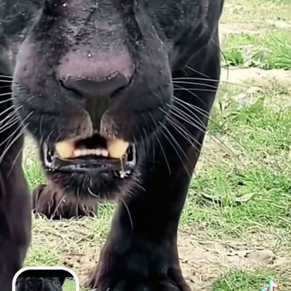 Profile Picture of David Sease (@dsease24) on Poshmark