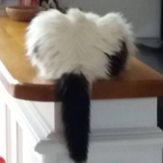 Profile Picture of Christian Huet (@christian.huet.79) on Facebook