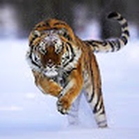 Profile Picture of Jairo Cabrera (student) (@jairo-cabrera-student) on Quora