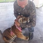 Profile Picture of Manuel Capetillo (@capetillo525) on Instagram