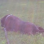 Profile Picture of Jason de Groot (@jason.degroot.921) on Instagram