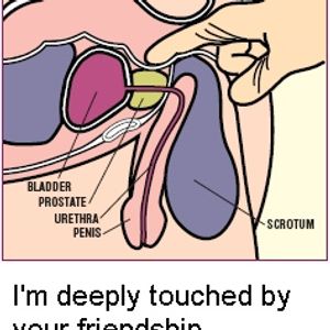 Profile Picture of Hugh Bonner (@deerocca) on Myspace