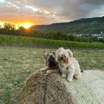 Profile Picture of Mark Konrad (@markkonrad1084) on Instagram