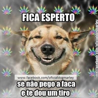 Profile Picture of LUCAS FRANCHI (@LUCASFRANCHI1) on Twitter