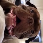 Profile Picture of Jonas Paulsen (@Jonas-Paulsen) on Facebook