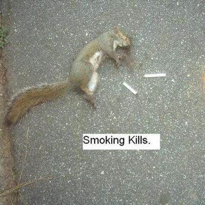 Profile Picture of Trinidad Cisneros (@TrinidadCisner3) on Twitter