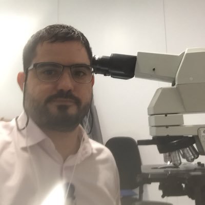 Profile Picture of Nava Rodrigues, D (@daninava) on Twitter