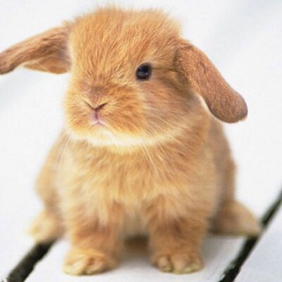 Profile Picture of Carly Tate (@carls583) on Twitter