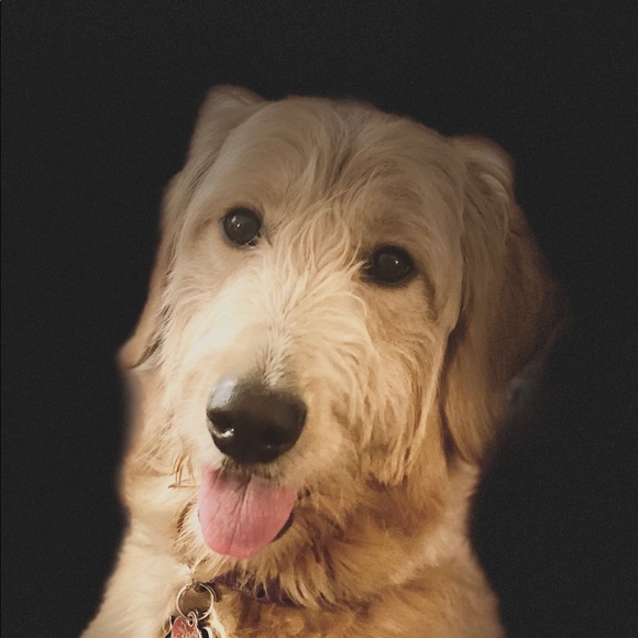 Profile Picture of Jessica Howes (@jesshowes1130) on Poshmark