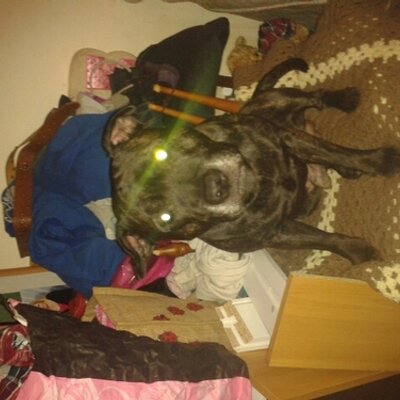 Profile Picture of Scott Triggs (@Scott_Trigger) on Twitter