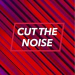 Ben Lowe - Instagram Profile Picture of Ben Lowe (@cutthenoise) on Instagram