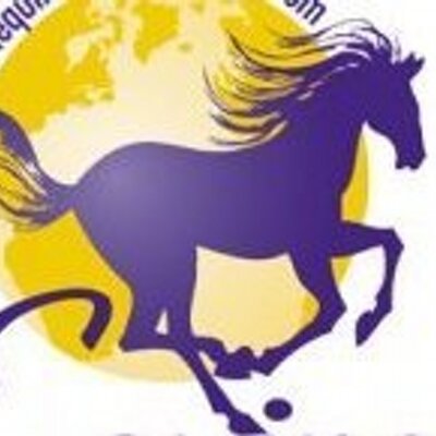 Profile Picture of Kim Fricke (@EquineWorldIns) on Twitter