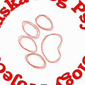 Profile Picture of Jason Reopelle (@jasonreopelle9340) on Youtube