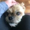 Profile Picture of crystal irvin (@@cimnfta) on Tiktok