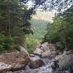 Profile Picture of Aaron Dery (@aarooooonn) on Instagram