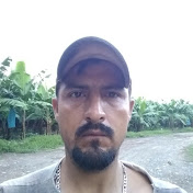 Roque Alvarez - Youtube Profile Picture of Roque Alvarez (@roquealvarez8791) on Youtube