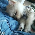 Profile Picture of 김대호 (@qoo1093) on Instagram