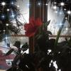 Profile Picture of Kathy Engle422 (@@user990753290073) on Tiktok