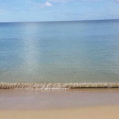 Profile Picture of Jose Viruet (@ViruJos) on Twitter