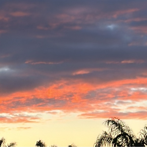 Profile Picture of Michael Coria (@michaelcor) on Poshmark