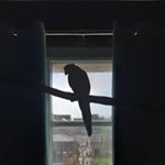 Profile Picture of Aimee Martin (@_aimee_martin_) on Instagram