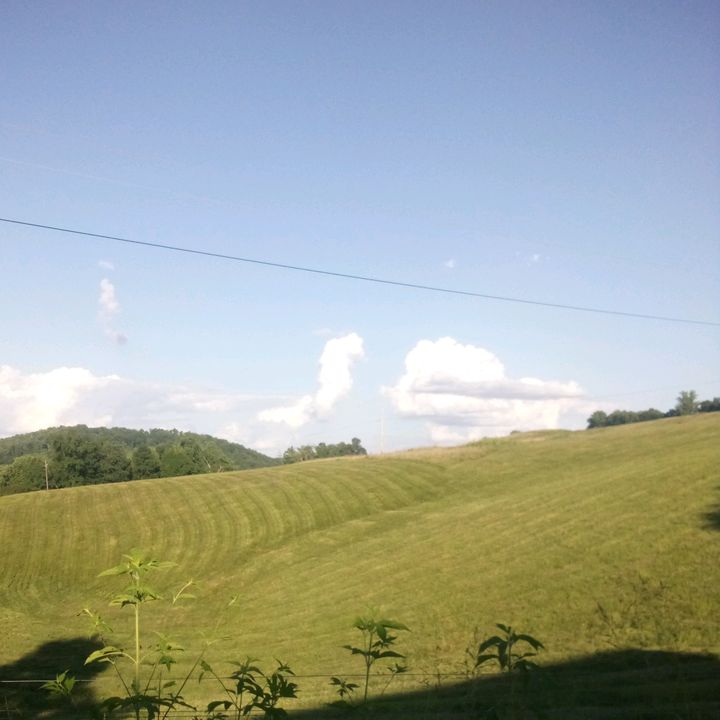 Profile Picture of Phillip harp (@phillip.harp) on Tiktok