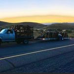 Profile Picture of Larry Barker (@larrybarker3180) on Instagram