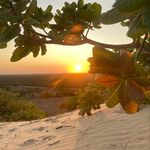 Profile Picture of Abner Coelho (@abner.world) on Instagram