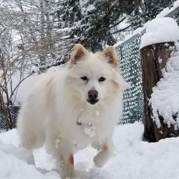 Profile Picture of Tracianne Urban (@tracinyy9399) on Poshmark