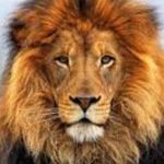 Profile Picture of Theodore Roy Hodges (@tdawgithine) on Instagram