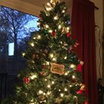 Profile Picture of Haley harman (@haleybug.harman) on Instagram