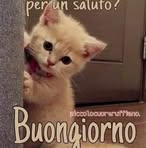 Profile Picture of Lara Andrighettoni (@lara.andrighettoni.56) on Facebook