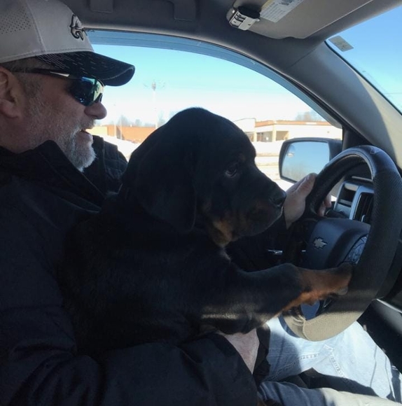 Profile Picture of Bill Sweezey (@billsweezey) on Poshmark